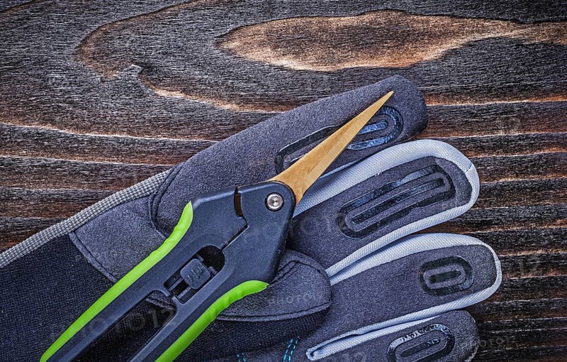 Working safety gloves clippers close up view gardening concept