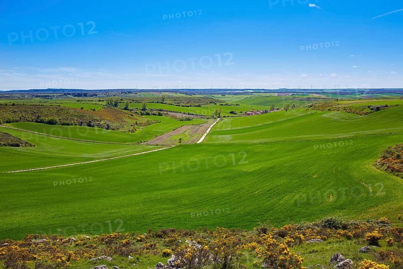The way of Saint James from Atapuerca cross to Burgos in Castilla