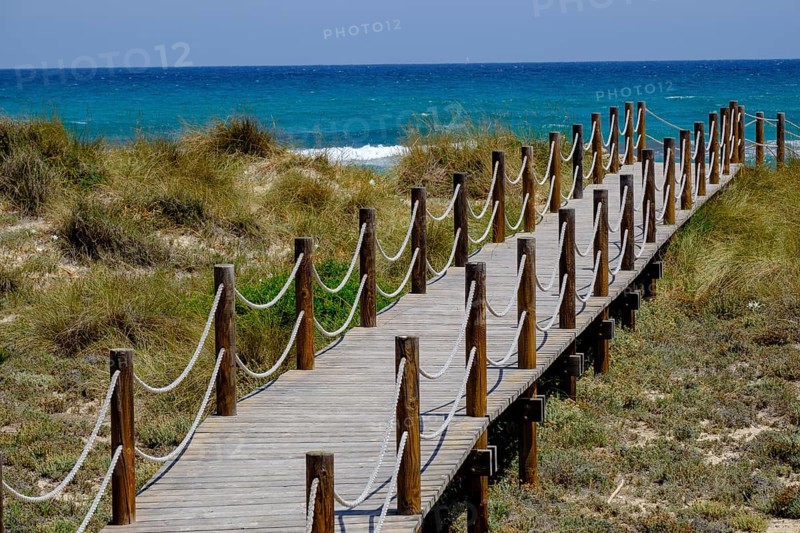 Pasarelas de madera sobre las dunas, Son Serra de Marina, Mallorca, balearic islands, Spain, Europe