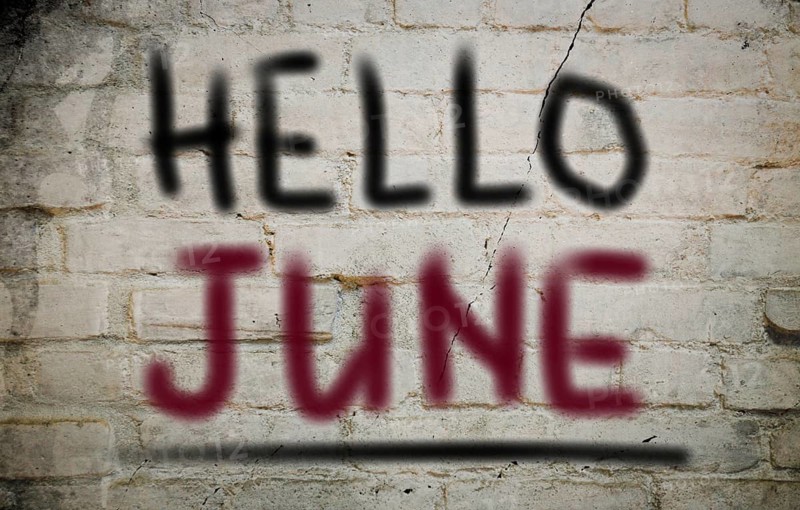 Months Of The Year Concept