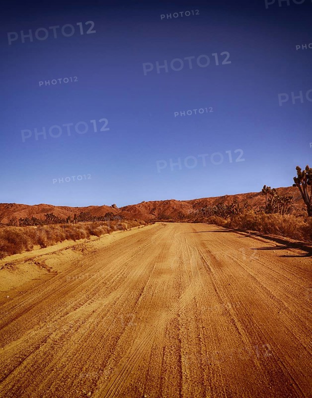 Sandy road through the Californian desert, USA, North America