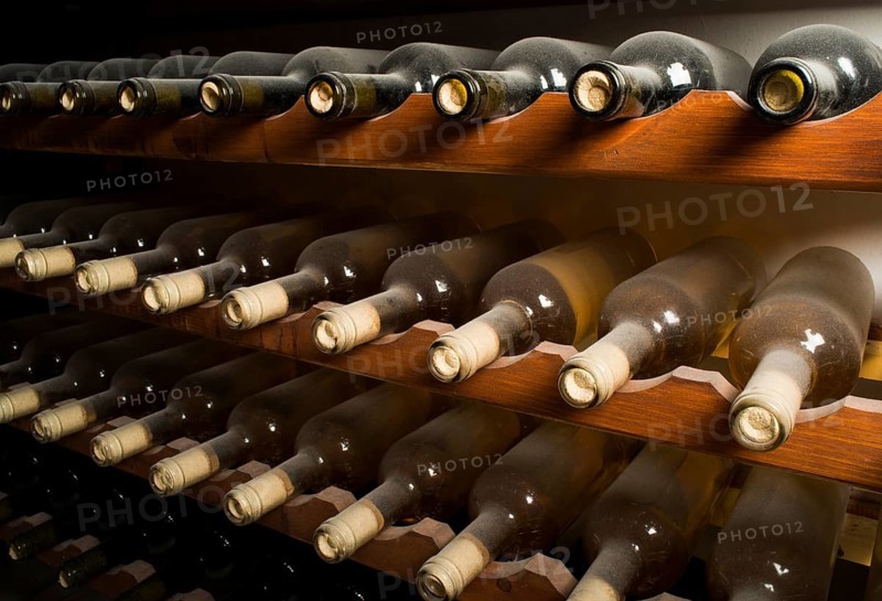 Wine bottles on shelf. Wine cellar. Close up wine bottles