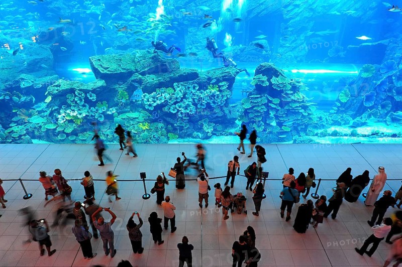 Dubai Aquarium in the Dubai Mall shopping centre, Downtown, Dubai, United Arab Emirates, Asia