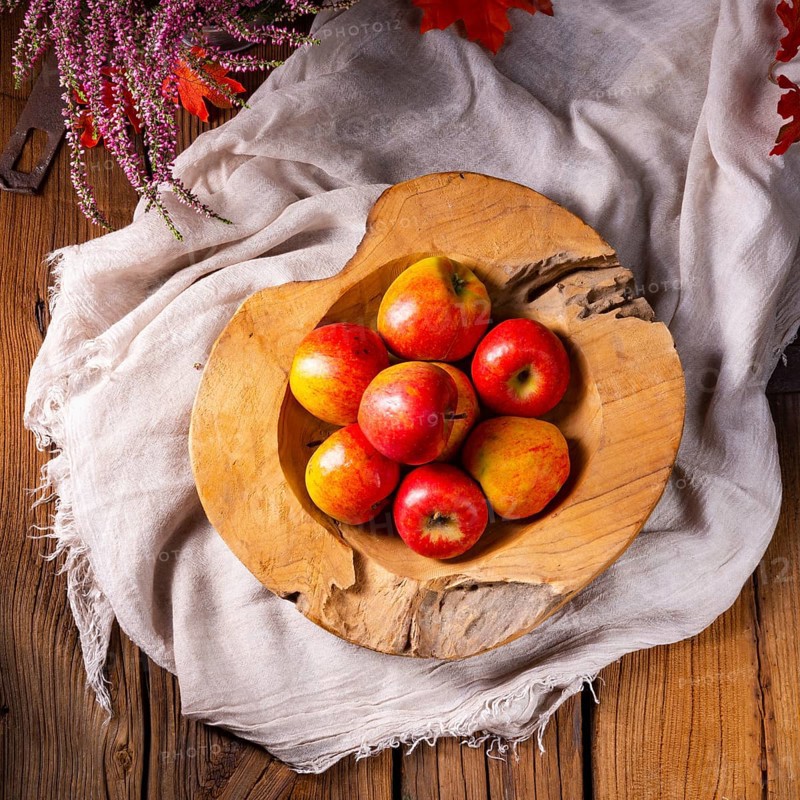 Malus sylvestris, der leckere europäische Krabbenapfel