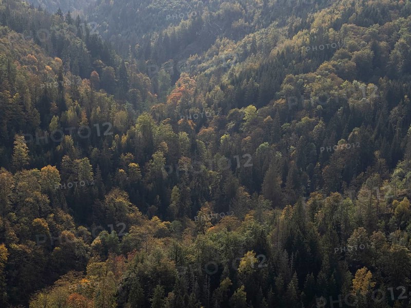 View over the Höllental nature reserve in the Franconian Forest in autumn
