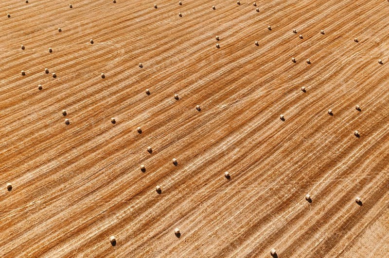 Aerial perspective view of hay bales on agricultural field after harvest. Farm landscape. Drone top view of yellow cut grass striped pattern on field with many velour grasses bales. Dry fodder. Haying