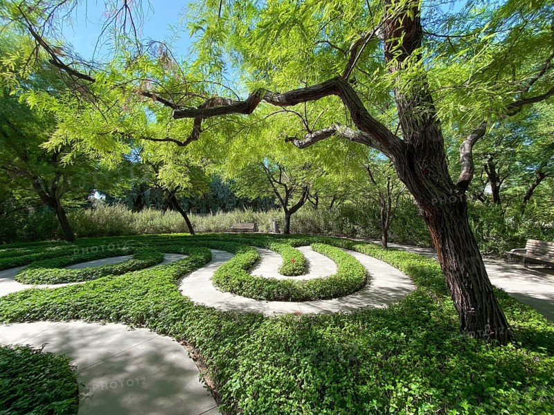 Sunnylands center and garden in Rancho Mirage, Desert environment park, home to a variety of plants and wildlife, California, USA. September 26th, 2020