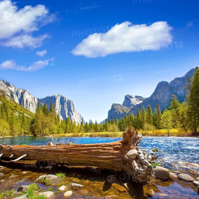 Yosemite Merced River el Capitan and Half Dome in California National Parks US