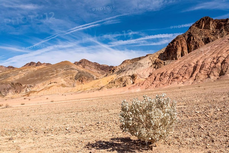 Famous Artists Palette in Death Valley National Park, USA, North America