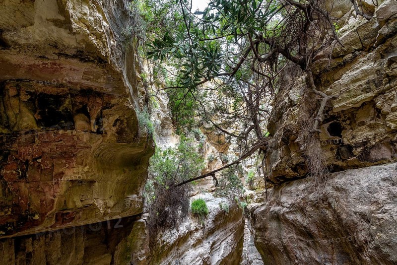 Avagas Gorge in the western part of Cyprus