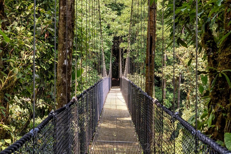 Bridge in the jungle in Central America