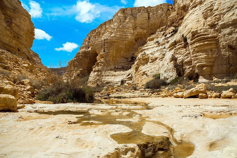 Beginning of a route. The concept of photo tourism. The magnificent gorge Ein Avdat is the most beautiful in the Negev desert. Within the walls there are many caves and rocks. Israel