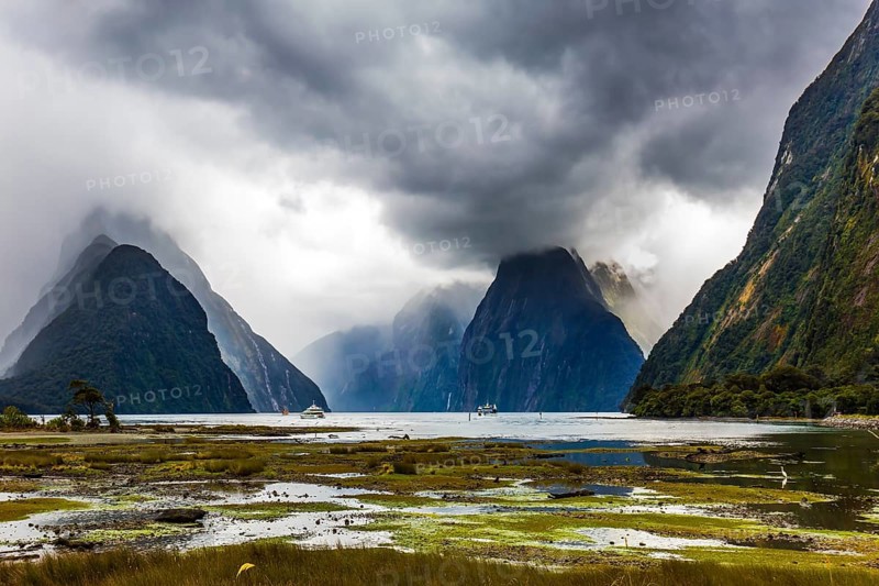 Shallow, overgrown with marsh grass coast of the fjord. New Zealand - magic land of hobbits. Concept of exotic, active and photographic tourism