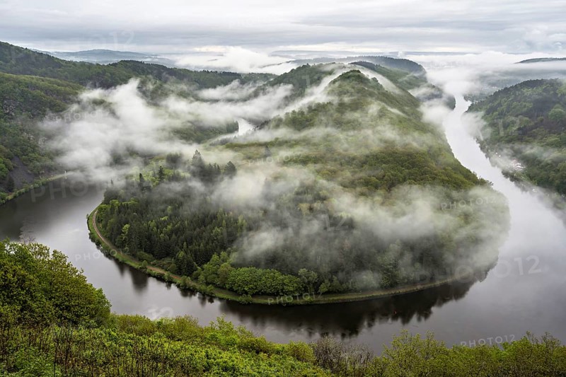 The Saarschleife in Mettlach is covered in fog in the morning in spring, Germany, Europe