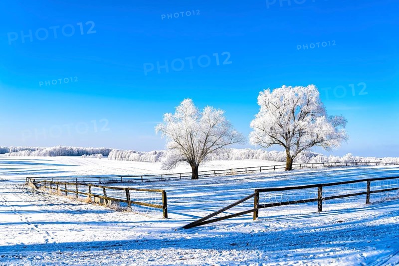 Snow-covered landscape in winter in Masuria in eastern Poland
