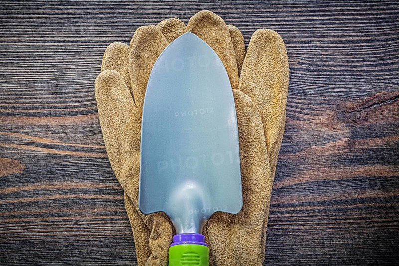 Hand spade protective gloves on wooden board agriculture concept