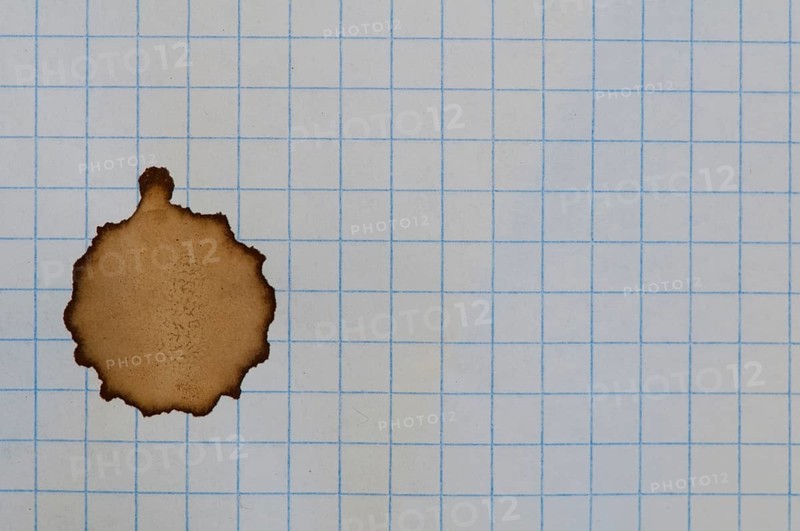 Checkered sheet of paper from a notebook and coffee stain