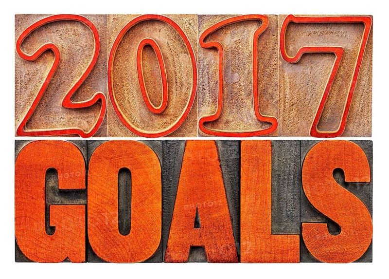 2017 goals banner - New Year resolution concept - isolated text in vintage letterpress wood type printing blocks stained by red ink