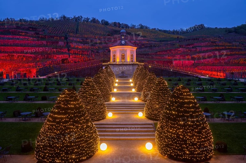 Adventure winery to shine in special splendour from next week Radebeul, 1 November 2024 From 8 November, Schloss Wackerbarth will once again illuminate its baroque grounds and the Wackerbarthberg in festive light. Every day from 3 pm, around 5, 500 points of light and numerous Herrnhut stars will transform the entire ensemble of Europe's first adventure winery into a wonderful world of light, music and enjoyment. As darkness falls, the baroque buildings and historic vineyard walls as well as vines, hedges and trees glow in warm colours. Fairytale lanterns, light sculptures and selected illuminations invite you to take a tour of the romantically sparkling vineyard. Radebeul, Saxony, Germany, Europe