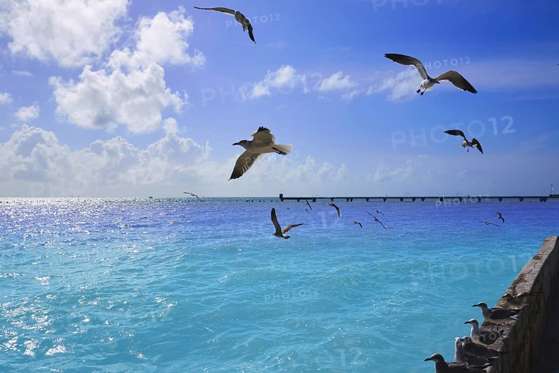 Key west florida beach Clearence S Higgs memorial in USA
