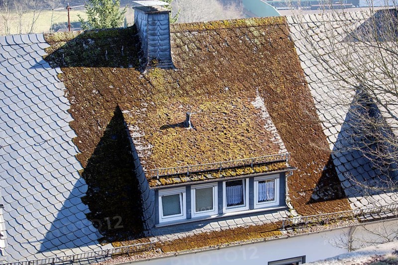 New slate roof without moss and old roof with moss, North Rhine-Westphalia, Germany, Europe, neues Schieferdach ohne Moos und altes Dach mit Moos, Nordrhein-Westfalen, Deutschland, Europa, Europe