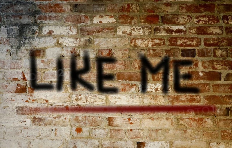 Like Me Concept
