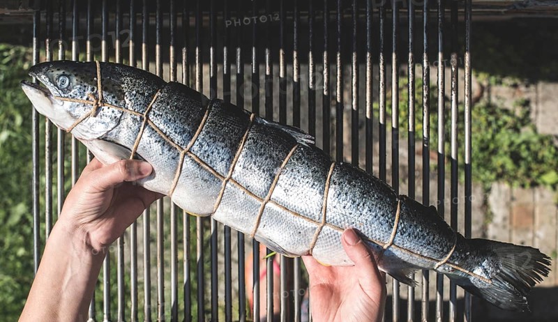 Raw salmon fish on grill. Outdoor cooking