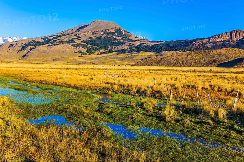 The green grass field is impregnated with streams from underground sources. The concept of exotic and active tourism