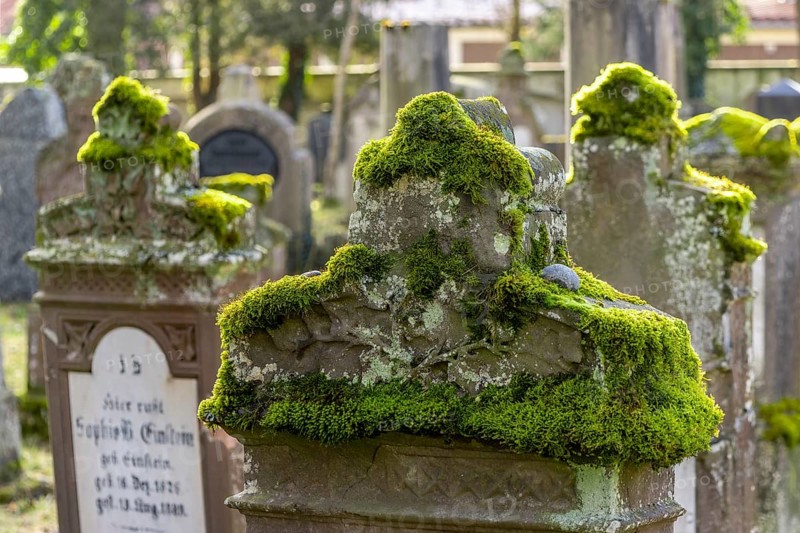 Jewish cemetery with gravestones and grave slabs with green moss, Bad-Buchau, Upper Swabia, Baden-Württemberg, Germany, Europe