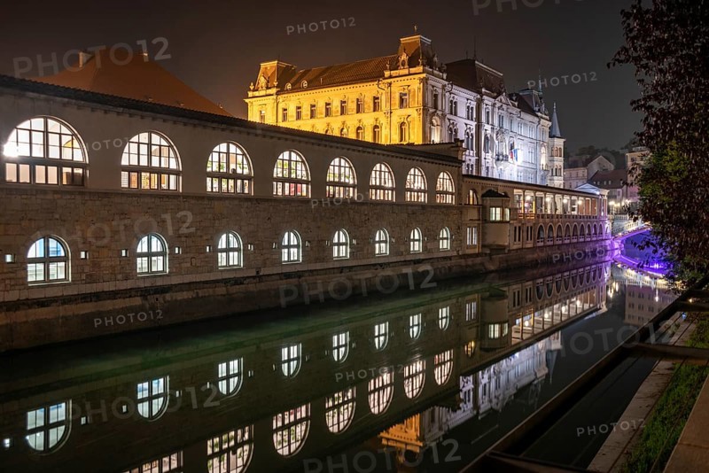 Iconic building of the central market in Ljubljana illuminated at night, Slovenia, Europe
