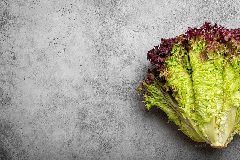 Fresh raw organic farm Lolo Rosso lettuce salad on grey rustic stone background top view, healthy green salad in balanced nutrition and cooking concept. Space for text, food photography, food photography