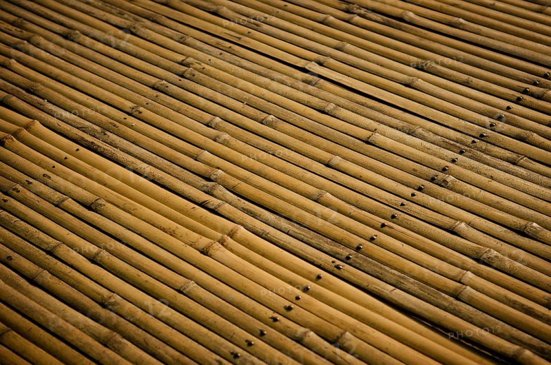 Detail of bamboo surface