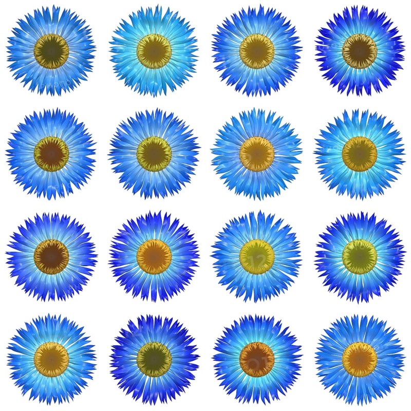 An illustration of some isolated different flowers