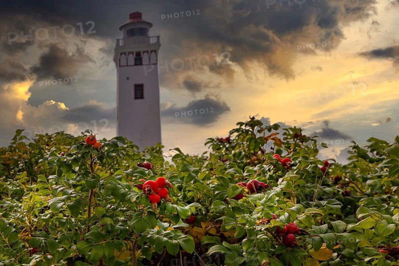 Strib Fyr a lighthouse in Denmark