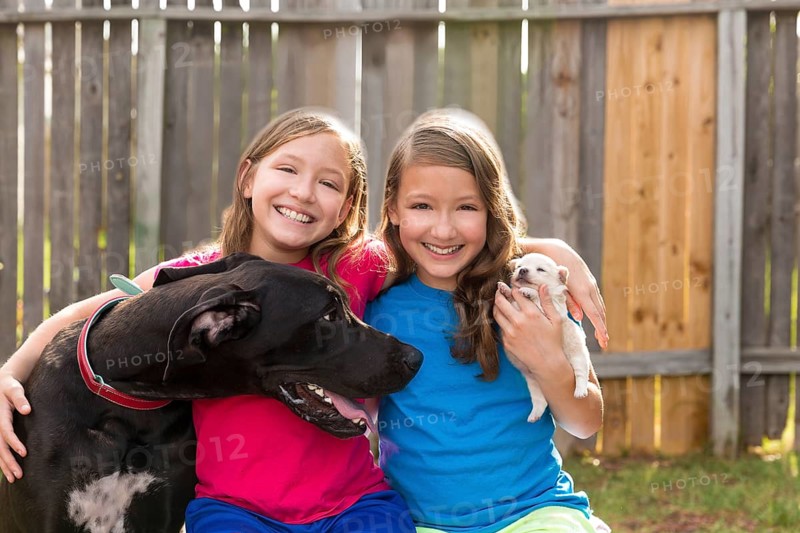 Twin sisters puppy pet dog and great dane playing together