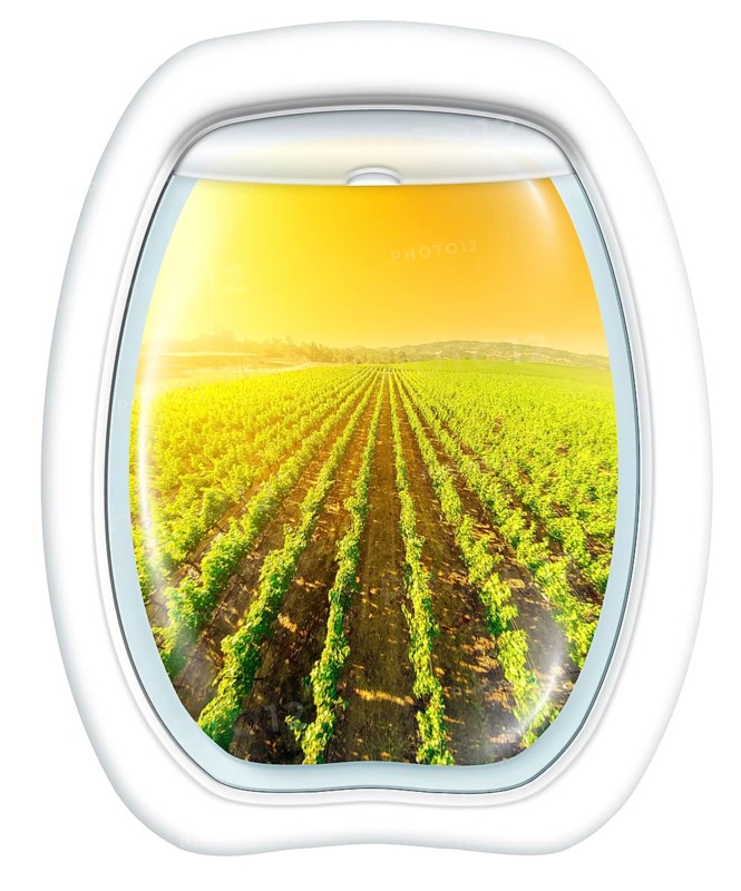 Plane window on Napa Valley at sunset, California, United States, from a plane through the porthole. Copy space, North America