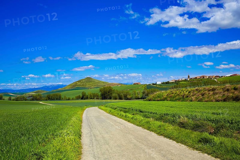 Cereal fields by The Way of Saint James in Castilla near Burgos