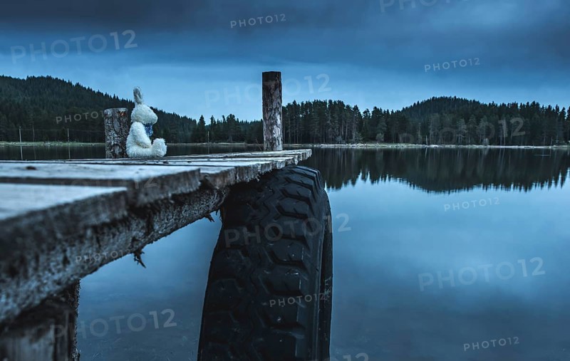 Fluffy toy bunny sitting on a pier. Shore of a mountain lake