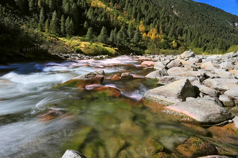 Pastoral in the Alpine mountain valley in Austria. Rapid mountain stream. Cascades of cold water at the source of the Krimml waterfalls