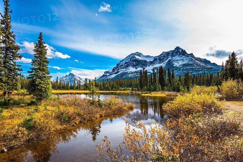 Pine trees reflected in smooth water of the lake. Sunny day. Waterlogged valley in the snowy Rocky Mountains. The concept of ecotourism and active tourism