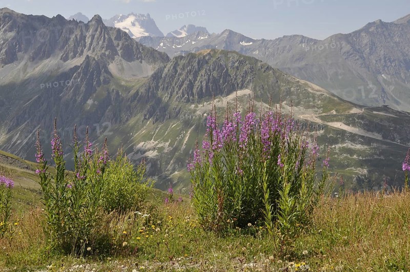 Mountain panorama of Savoy near Valloire
