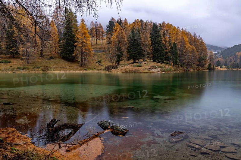 Autumn evening atmosphere, Lake Palpuognasee, Bergün-Filisur, Graubünden, Switzerland, Europe