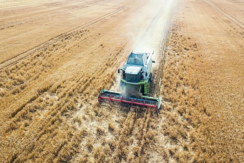 Combine harvester working on a wheat field. Combine harvester Aerial view