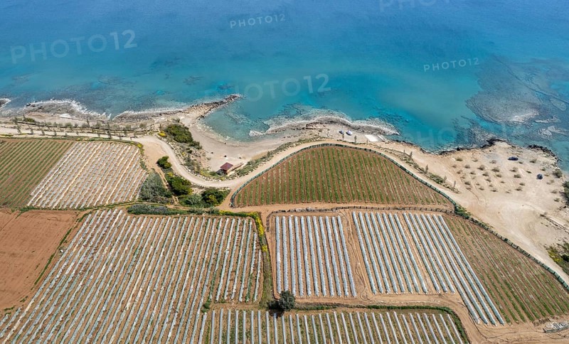 Aerial drone view of greenhouses in a row, covered with a transparent film of growing vegetables and fruits. Food cultivation Farming, bio products. Paralimni Cyprus