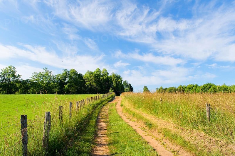 Landscape green hills in French Nouvelle aquitaine