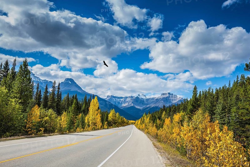 Great Banff. Excellent highway and surrounded by autumnal woods. Travel to the Bow River Canyon in September. Canadian Rockies, Banff National Park in the autumn