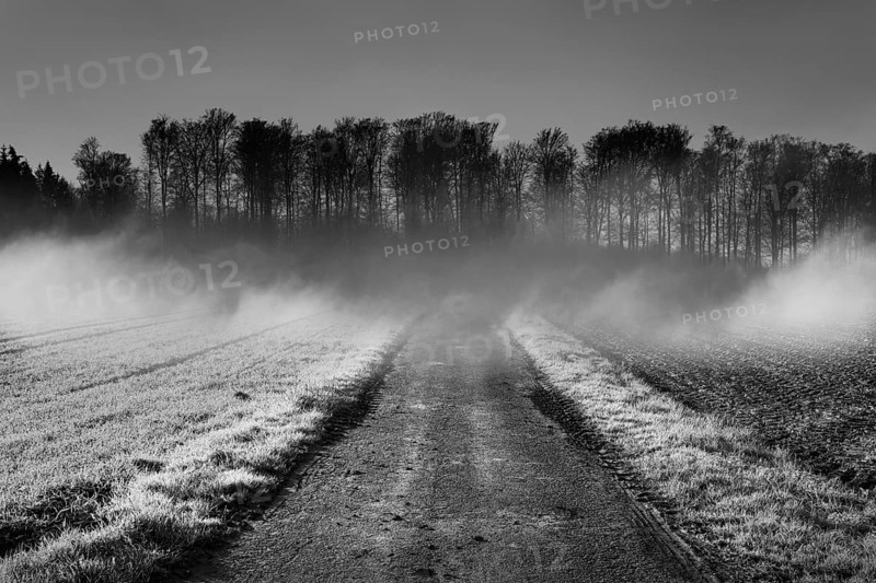 Foggy landscape, near Wesertal, Weser Uplands, Weserbergland, Hesse, Germany, Europe