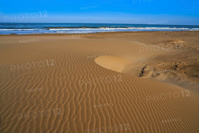 Delta del Ebro Ebre beach Punta del Fangar in Tarragona Costa Dorada Deltebre