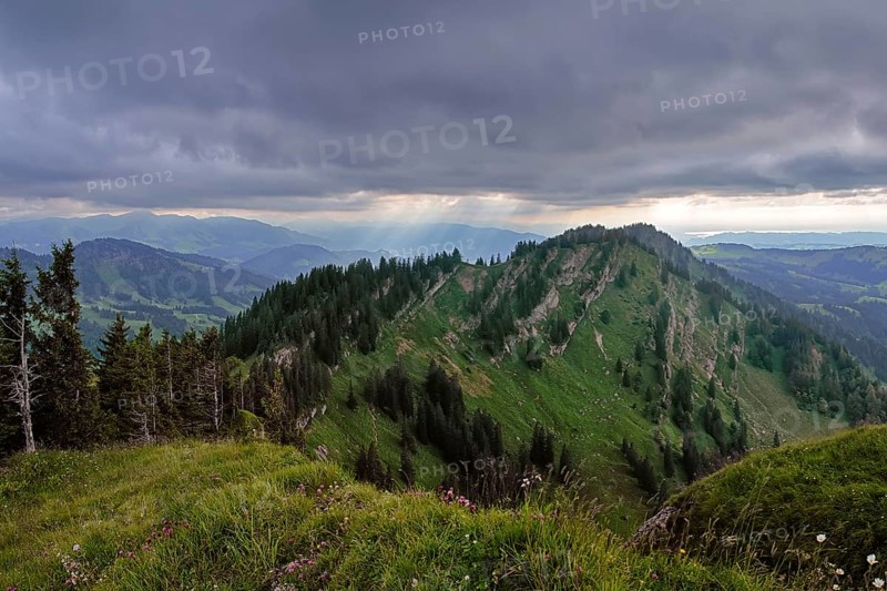 View from the Seelekopf to the Hohenfluhalpkopf, Nagelfluhkette, Allgäu