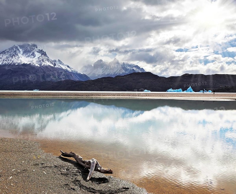 Dry driftwood on the sandy beach. Bright reflections of sky and clouds in the smooth cold water of Lake Grey. Chilean Patagonia, National Park Torres del Paine